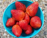 Foto del paso 2 de la receta: 🍓Petit suisse con frutillas frescas, yogur, queso blanco y crema 🍓
