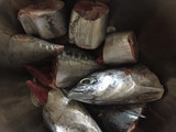 Ikan Tongkol Bumbu Rujak