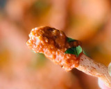 Foto del paso 5 de la receta: Muhhamara 🫑 🌶️ 🌰 (Crema Siria 🇸🇾 de pimientos y nueces)