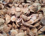 A picture of step 4 of Linguine with Clams (Lupini) and Yellow Cherry Tomatoes.