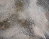 A picture of step 5 of Jowar flour namak pare.