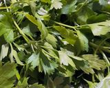 Foto del paso 4 de la receta: Mondongo a la provenzal