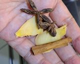 Foto langkah ke 2 dari resep 420. Tepache Nanas.