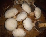 Foto del paso 1 de la receta: Crema de Champiñones a la villas