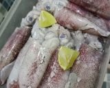 Foto langkah ke 4 dari resep Tips Menyimpan Cumi dalam kulkas (tahan 1 bulan).