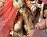 Gambar langkah 1 resipi Kulat Taun Masak Rebus.