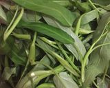 Foto langkah ke 1 dari resep Tumis Kangkung Manado.