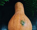 Foto del paso 1 de la receta: Calabaza (Andaí) con leche de coco