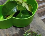 Foto langkah ke 3 dari resep Nasi Daun Jeruk Kuning Gurih.