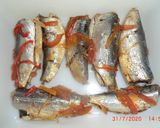 Foto del paso 7 de la receta: Sardinas en conserva