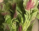 A picture of step 1 of Alkaline - Amaranth Greens (Callao).