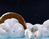 Foto del paso 11 de la receta: Pastel azul azul