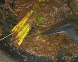 Foto langkah ke 1 dari resep Kare Enthog (jawa:Menthok).