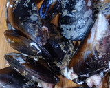 Foto del paso 3 de la receta: Fideos con cigalas y mejillones