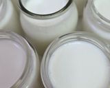 Foto del paso 8 de la receta: Yogur de leche de cabra 🐐 entero, natural, de fermentación prolongada en yogurtera 🐐