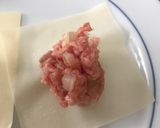 A picture of step 3 of Siu mai (Chinese steamed dumplings).
