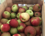 Foto del paso 1 de la receta: Apple Compote/ Compota de manzana