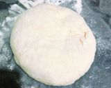 A picture of step 10 of Pizza Dough.