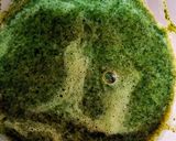 Foto del paso 2 de la receta: Tallarines verdes