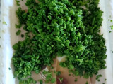 કારેલા ટીકી (Karela Tikki Recipe In Gujarati)