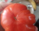 Une image de l'étape 1 de 🍅 Tomate farcie au quinoa (sans gluten).