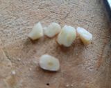 Foto del paso 5 de la receta: Propuesta de menú