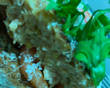 Foto del paso 5 de la receta: Tosta de pollo, tomate y rúcula!!