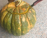 Foto del paso 1 de la receta: Locro de zapallo en calabaza