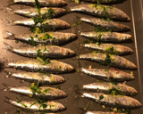 Foto del paso 2 de la receta: Sardinas al horno con ajo y perejil