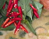 รูปขั้นตอนการทำที่ 7 ของ แกงเขียวหวานไก่