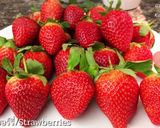 รูปขั้นตอนการทำที่ 1 ของ สตอเบอรี่เคลือบช็อกโกแลต Chocolate Covered STRAWBERRY