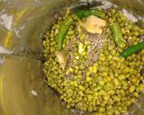 મગ દાળ ઢોસા (‍Mung Dal Dosa Recipe In Gujarati) રેસીપી સ્ટેપ2ફોટો