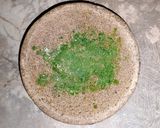 Foto langkah ke 2 dari resep Obat tradisional penurun panas dari daun karok.