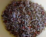 A picture of step 1 of Mixed sprouts salad and Bhakri.