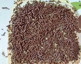 Foto langkah ke 4 dari resep Chocolate Cheese Almond Sandwich.