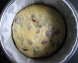A picture of step 8 of Panettone Style Sweet Bread.