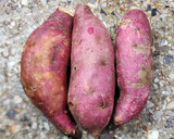 Foto del paso 2 de la receta: 🍠 Dulce de batata al chocolate naturalmente endulzado 🍠 Sin azúcar, sin edulcorantes, con agar agar