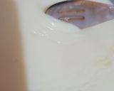 Foto del paso 4 de la receta: ¡Serenito casero!