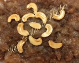 A picture of step 7 of Double ka meetha - BREAD SWEET.