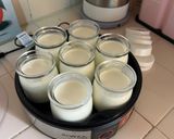 Foto del paso 4 de la receta: Yogur en yogurtera súper fácil cremoso