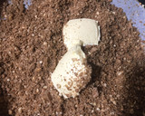 Foto del paso 2 de la receta: Tarta de turrón y café