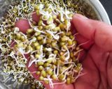 प्रोटीन से भरपूर अंकुरित साबुत मूंग सलाद (Sprout whole moong salad Recipe In Hindi) रेसिपी चरण 3 फोटो