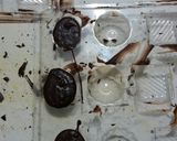 Foto del paso 4 de la receta: Bombones caseros