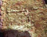Foto del paso 11 de la receta: Tarta de masa integral con zapallito y ricotta