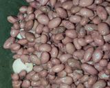 A picture of step 4 of Red Kidney Beans Salad 🥗.