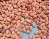 Foto langkah ke 1 dari resep 02.Kacang ngumpet pedes manis.