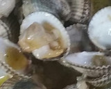 Foto del paso 2 de la receta: Berberechos en su jugo