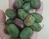 Foto del paso 2 de la receta: Un desayuno de avena remojada en yogur griego con kiwiños (kiwi-berry)