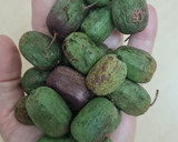 Foto del paso 2 de la receta: Un desayuno de avena remojada en yogur griego con kiwiños (kiwi-berry)