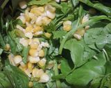 पालक अंडा करी (palak anda curry recipe in Hindi) रेसिपी चरण 1 फोटो